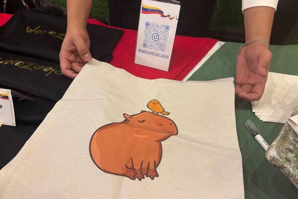 Стенд Венесуэлы на Рождественской благотворительной ярмарке в Минске Стенд Венесуэлы на Рождественской благотворительной ярмарке в Минске - Sputnik Беларусь