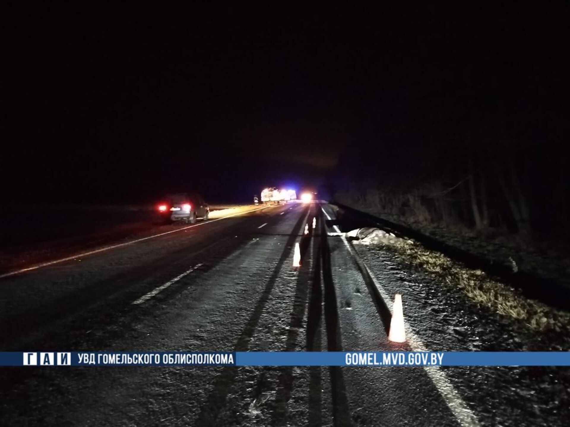 Легковой автомобиль столкнулся с лосем и опрокинулся в Гомельской области - Sputnik Беларусь, 1920, 13.12.2025