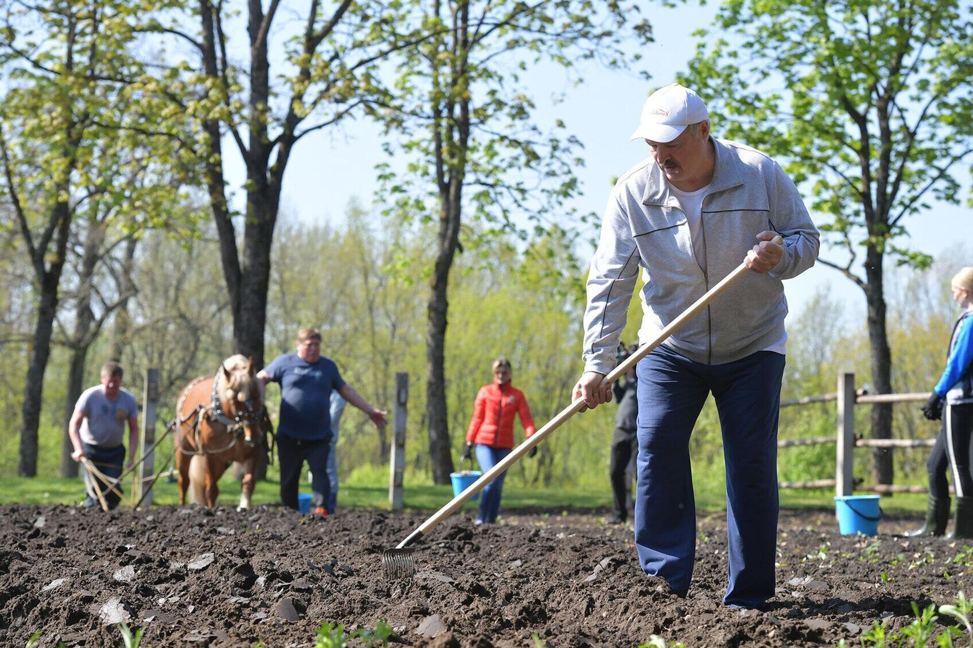 Приусадебное хозяйство президента Беларуси Александра Лукашенко - Sputnik Беларусь, 1920, 14.12.2025