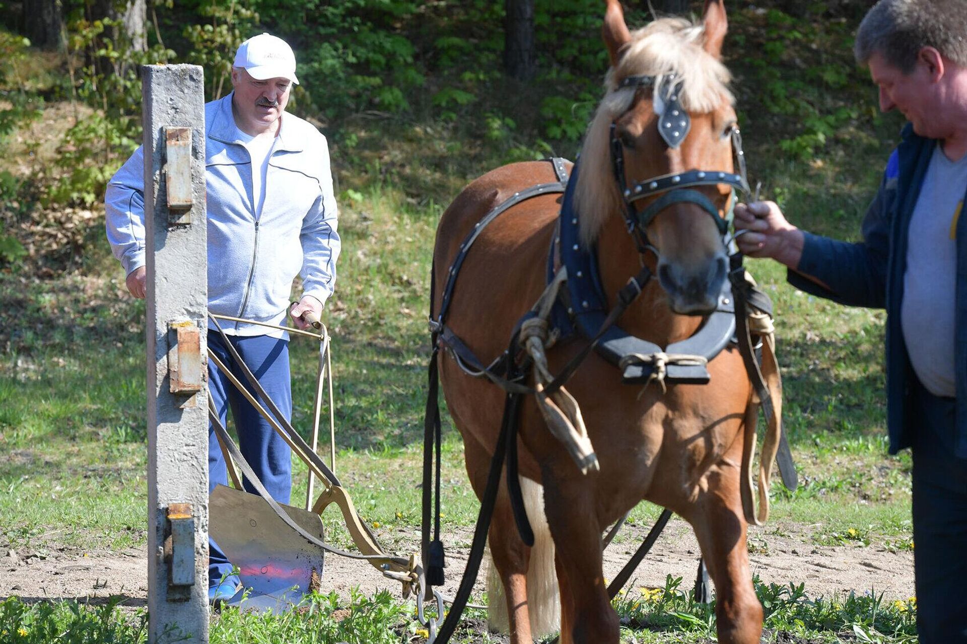 Приусадебное хозяйство президента Беларуси Александра Лукашенко - Sputnik Беларусь, 1920, 14.12.2025