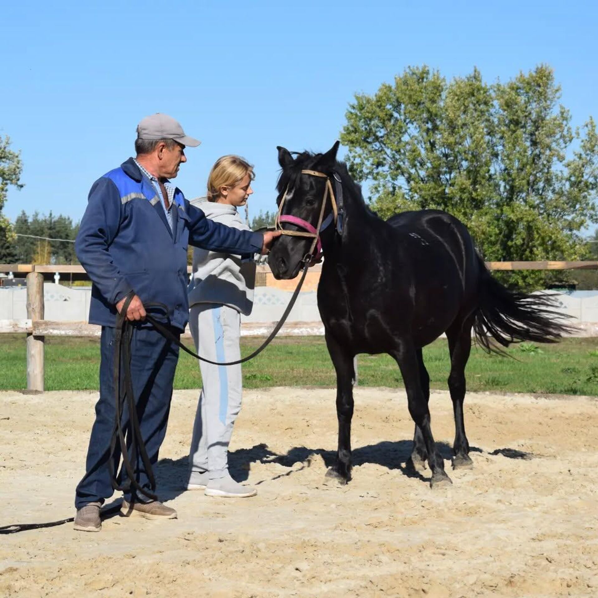 Лошадь полесской породы по кличке Говоруха ― ее подарили президенту на областных Дажынках-2024 в Микашевичах. - Sputnik Беларусь, 1920, 14.12.2025