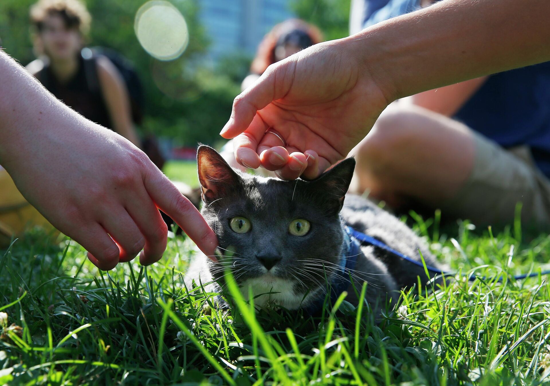 Физиотерапевт с усами Физиотерапевт с усами - Sputnik Беларусь, 1920, 14.12.2025