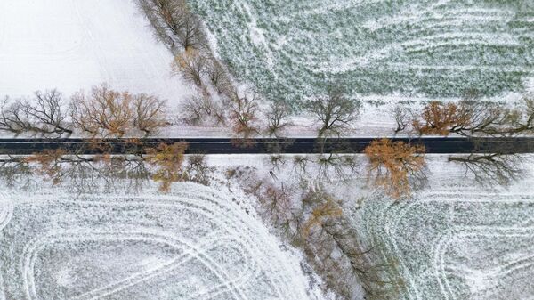 Зимнее поле - Sputnik Беларусь