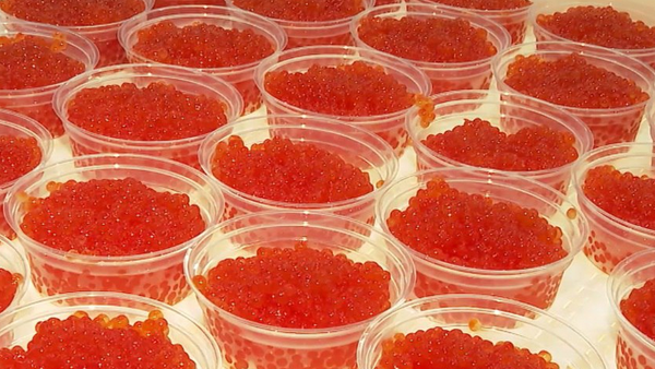 Президенту США Дональду Трампу передали красную икру из Хабаровского края - Sputnik Беларусь