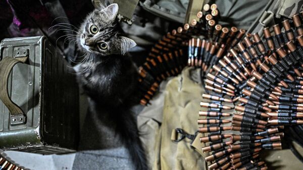 Группа противодействия БПЛА спецназа Ахмат МО РФ - Sputnik Беларусь