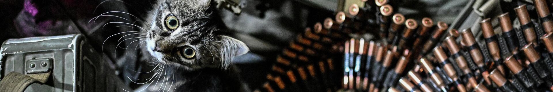 Группа противодействия БПЛА спецназа Ахмат МО РФ - Sputnik Беларусь, 1920, 19.02.2022