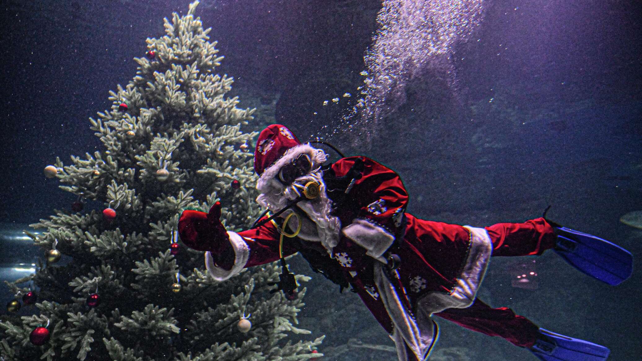 И вот она нарядная: самые необычные новогодние елки мира (фото) И вот она нарядная: самые необычные новогодние елки мира (фото)