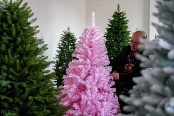 Сотрудник проверяет образцы рождественских елок в цехе по их производству в городе Цзиньхуа, Китай. - Sputnik Беларусь