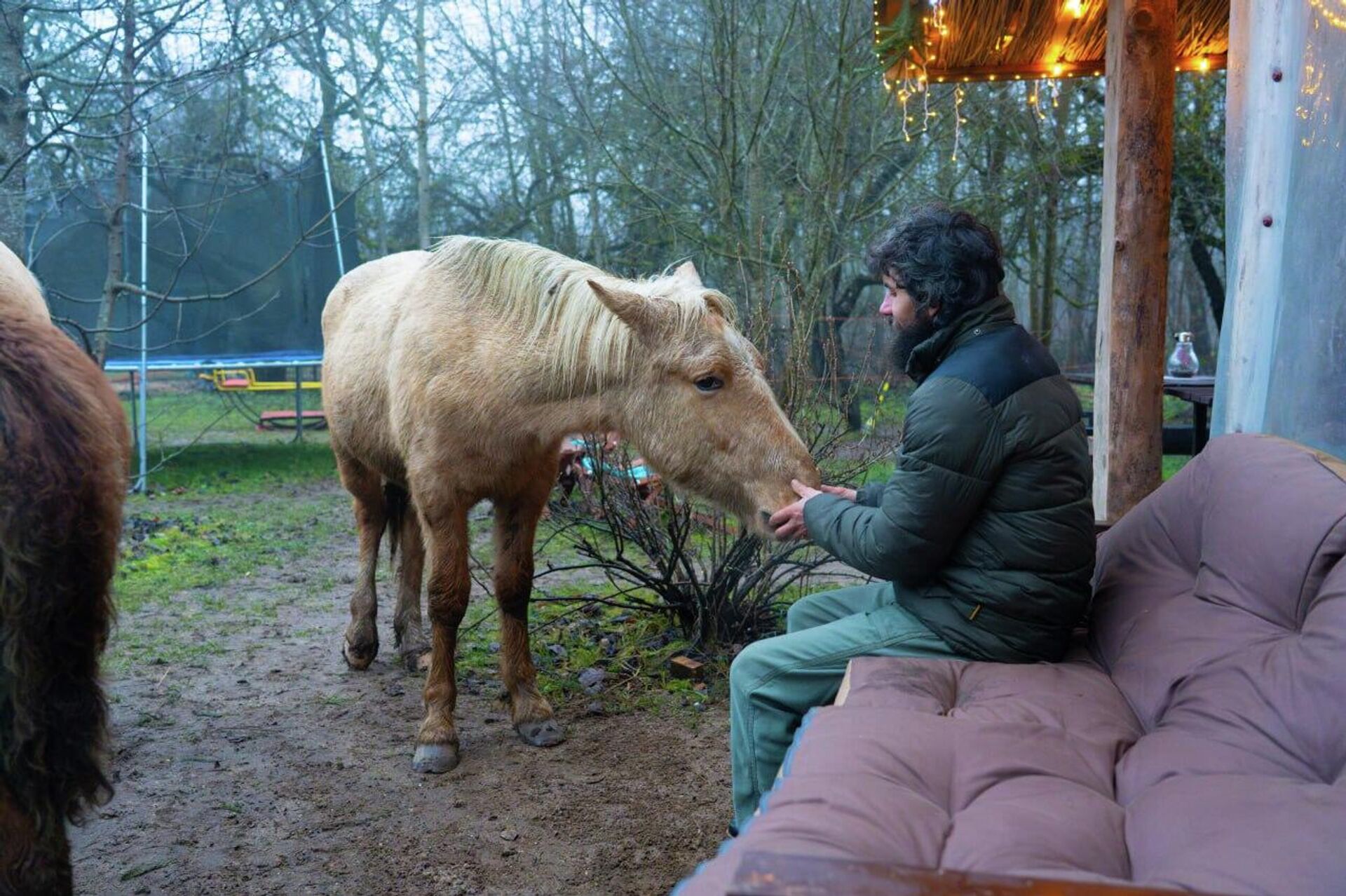 Частный питомник полесских аборигенных лошадей