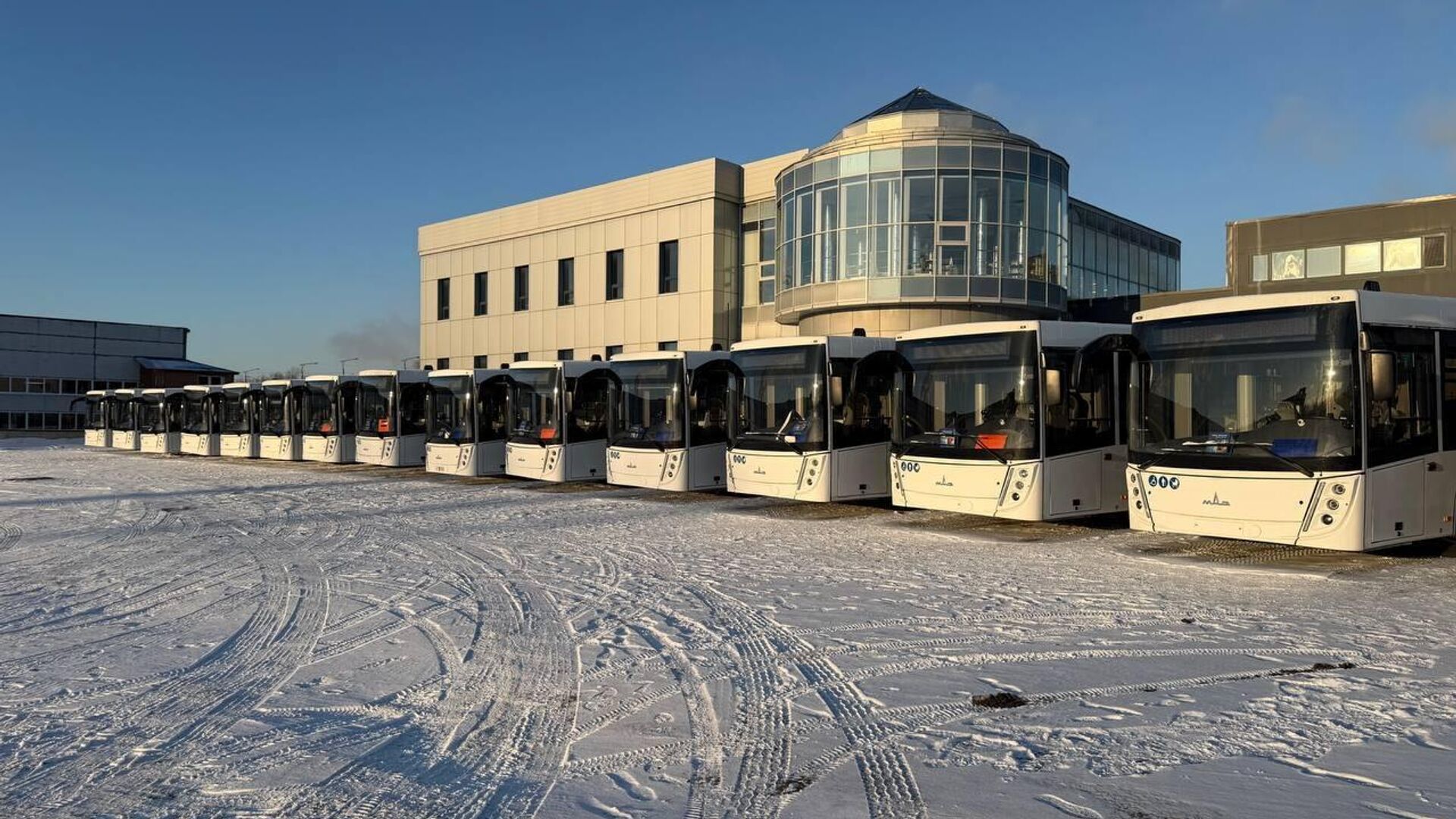 Тольятти получил новые автобусы МАЗ для муниципальных маршрутов Тольятти получил новые автобусы МАЗ для муниципальных маршрутов