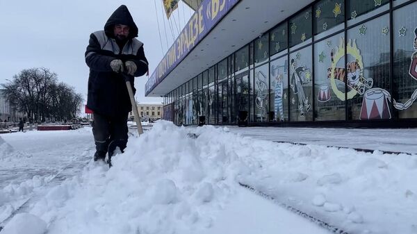 Как Гомель приходит в себя после ночного снегопада (видео) - Sputnik Беларусь