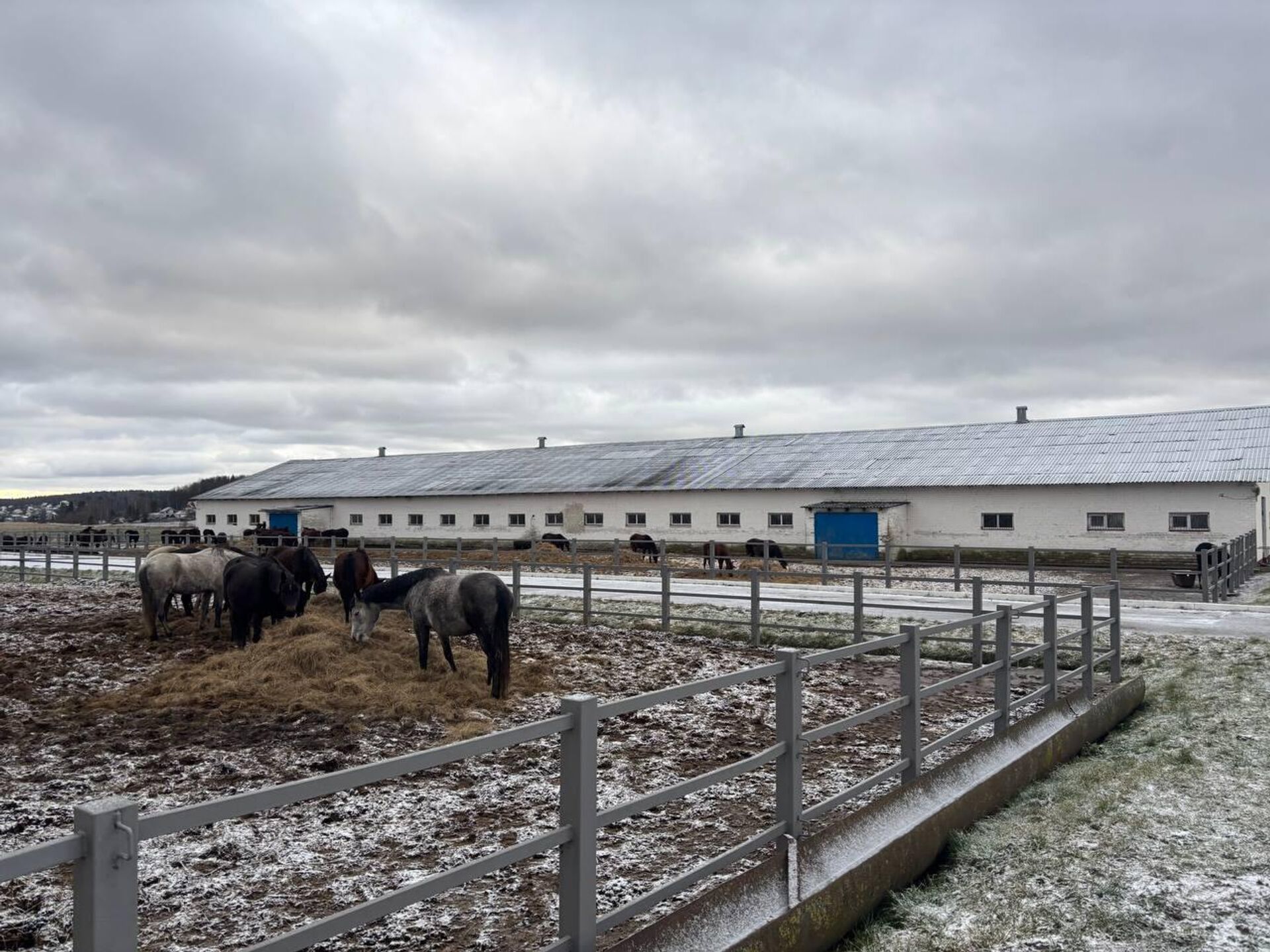 Ратомка - Sputnik Беларусь, 1920, 29.12.2025