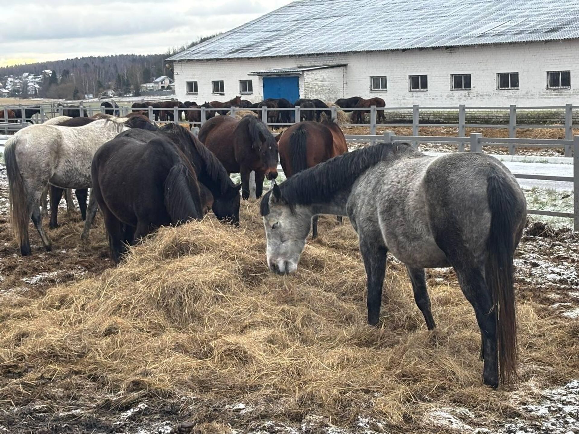 Ратомка - Sputnik Беларусь, 1920, 29.12.2025