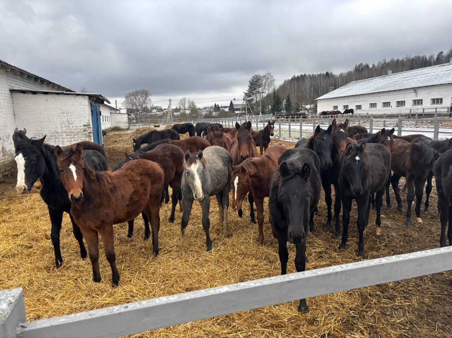 Ратомка - Sputnik Беларусь, 1920, 29.12.2025