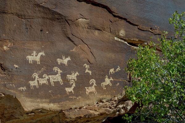 Знаменитые петроглифы в национальном парке американского штата Юта. Наскальный рисунок изображает сцену охоты.