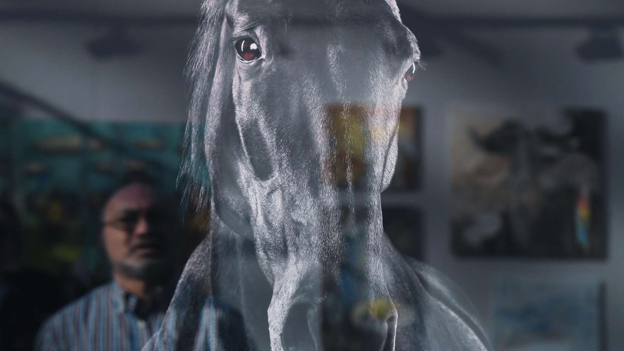 Лошади вокруг нас: искусство, миф и современность (фото)