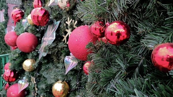 Не хочу пахать, как лошадка: чего ждут белорусы от Огненной Лошади (видео) - Sputnik Беларусь