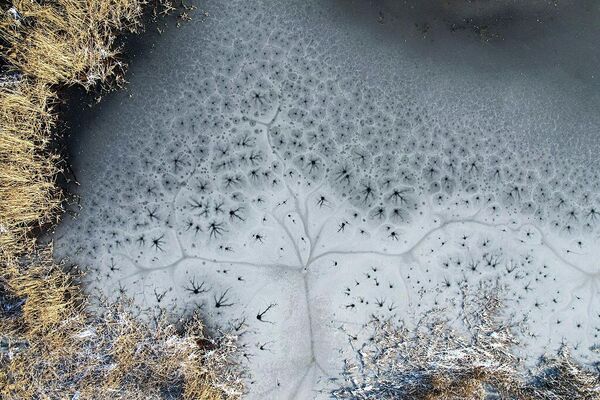 &amp;quot;Ледяные цветы&amp;quot; расцветают на замерзшей реке в парке Фэньхэ в городе Тайюань, провинция Шаньси, Китай.