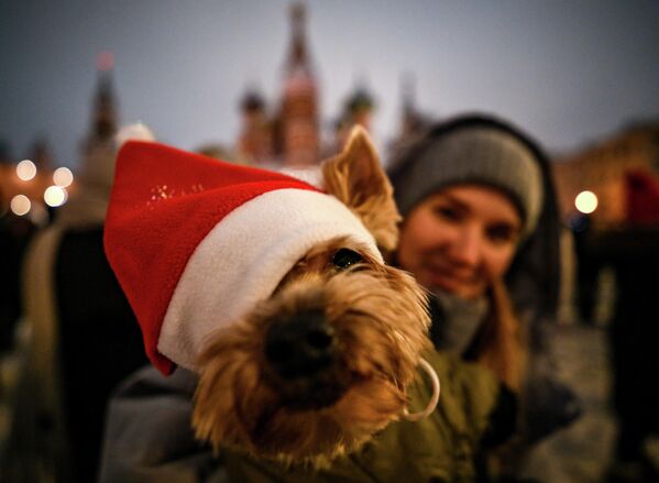 Празднование Нового года на Красной площади в Москве
