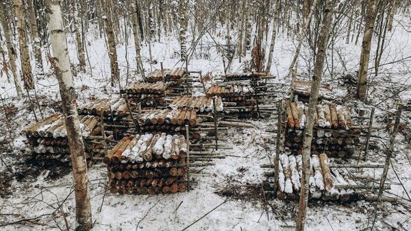 Выяўленыя снарады - Sputnik Беларусь