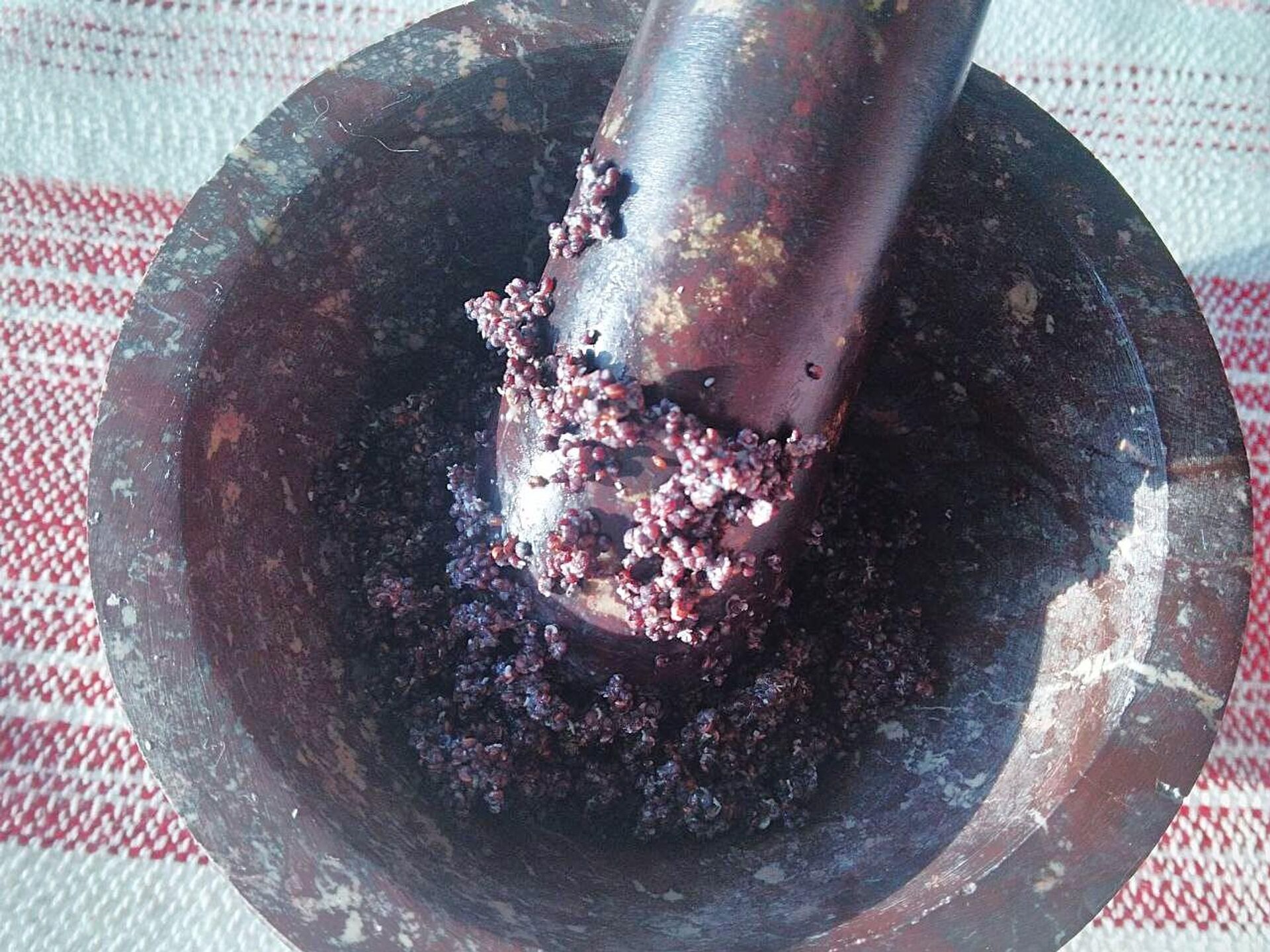 Мак у макотры Мак у макотры - Sputnik Беларусь, 1920, 05.01.2026