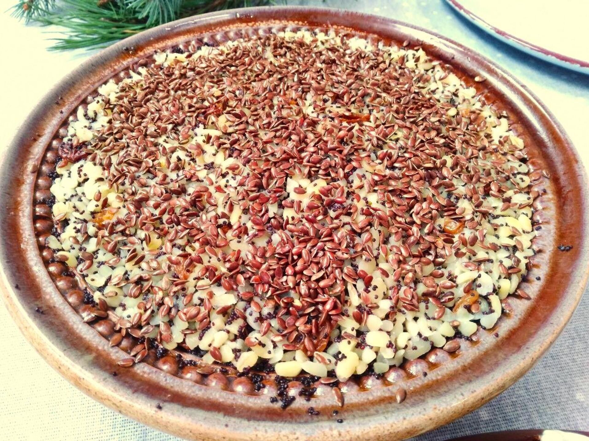 Куцця з лёнам Куцця з лёнам - Sputnik Беларусь, 1920, 05.01.2026