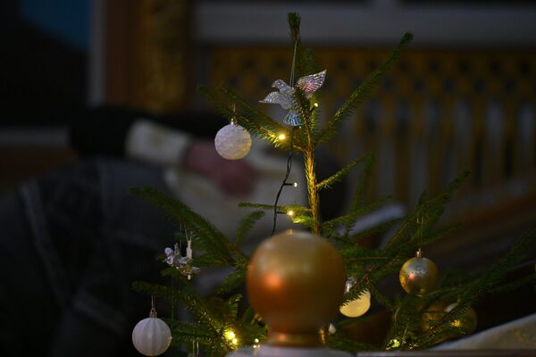 Рождественская служба в Храме Вознесения Господня в Фаниполе - Sputnik Беларусь