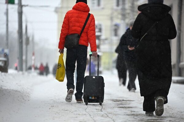 Сильный снегопад – не повод отменять путешествие, а для некоторых самое время выглядеть стильно... - Sputnik Беларусь
