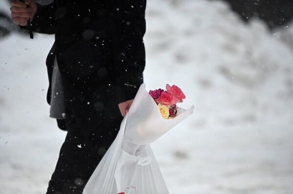 Цветы, припорошенные снегом, способны поднять настроение в непогоду. - Sputnik Беларусь