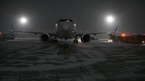 Национальный аэропорт Минск, архивное фото - Sputnik Беларусь