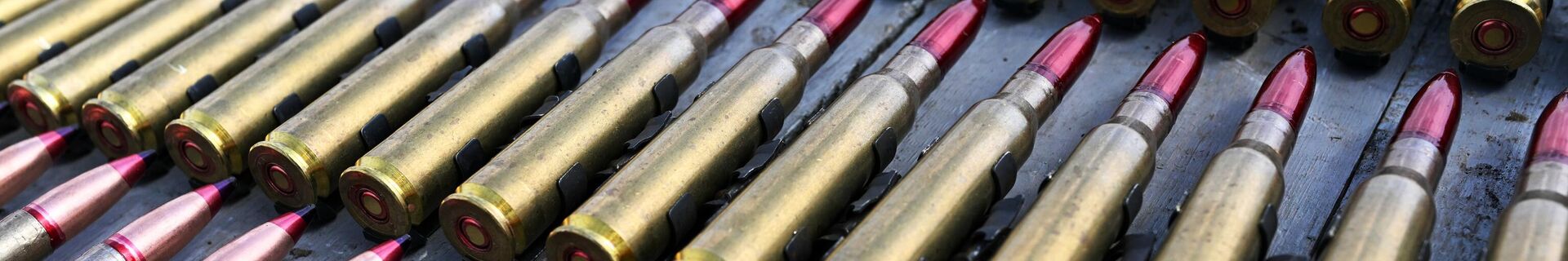 Боевая подготовка подразделений ВДВ на полигоне в зоне СВО - Sputnik Беларусь, 1920, 19.02.2022