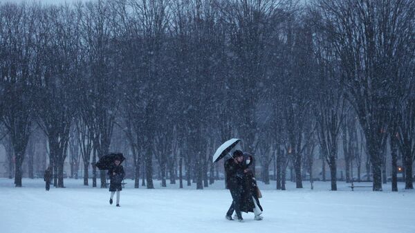 Снег в Париже - Sputnik Беларусь