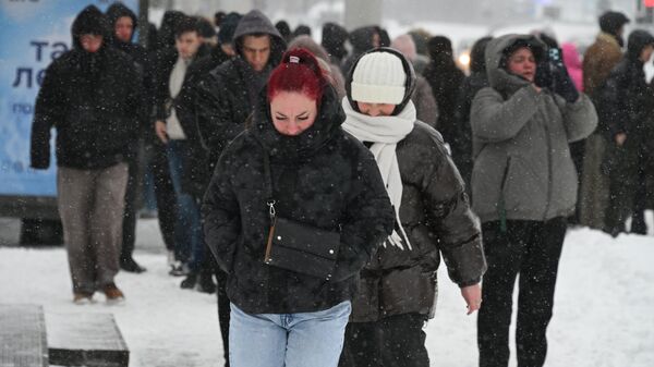 Снег в Минске - Sputnik Беларусь