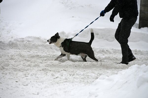 - Sputnik Беларусь
