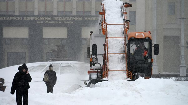 Снег в Минске - Sputnik Беларусь