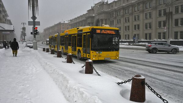 Снег в Минске - Sputnik Беларусь