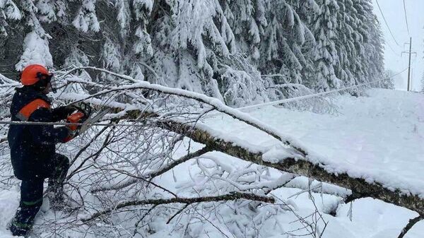 Восстановление энергоснабжения в Витебской области - Sputnik Беларусь