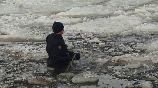 Работа спасателей ОСВОД - Sputnik Беларусь