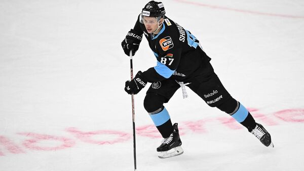 Вадим Шипачев - Sputnik Беларусь