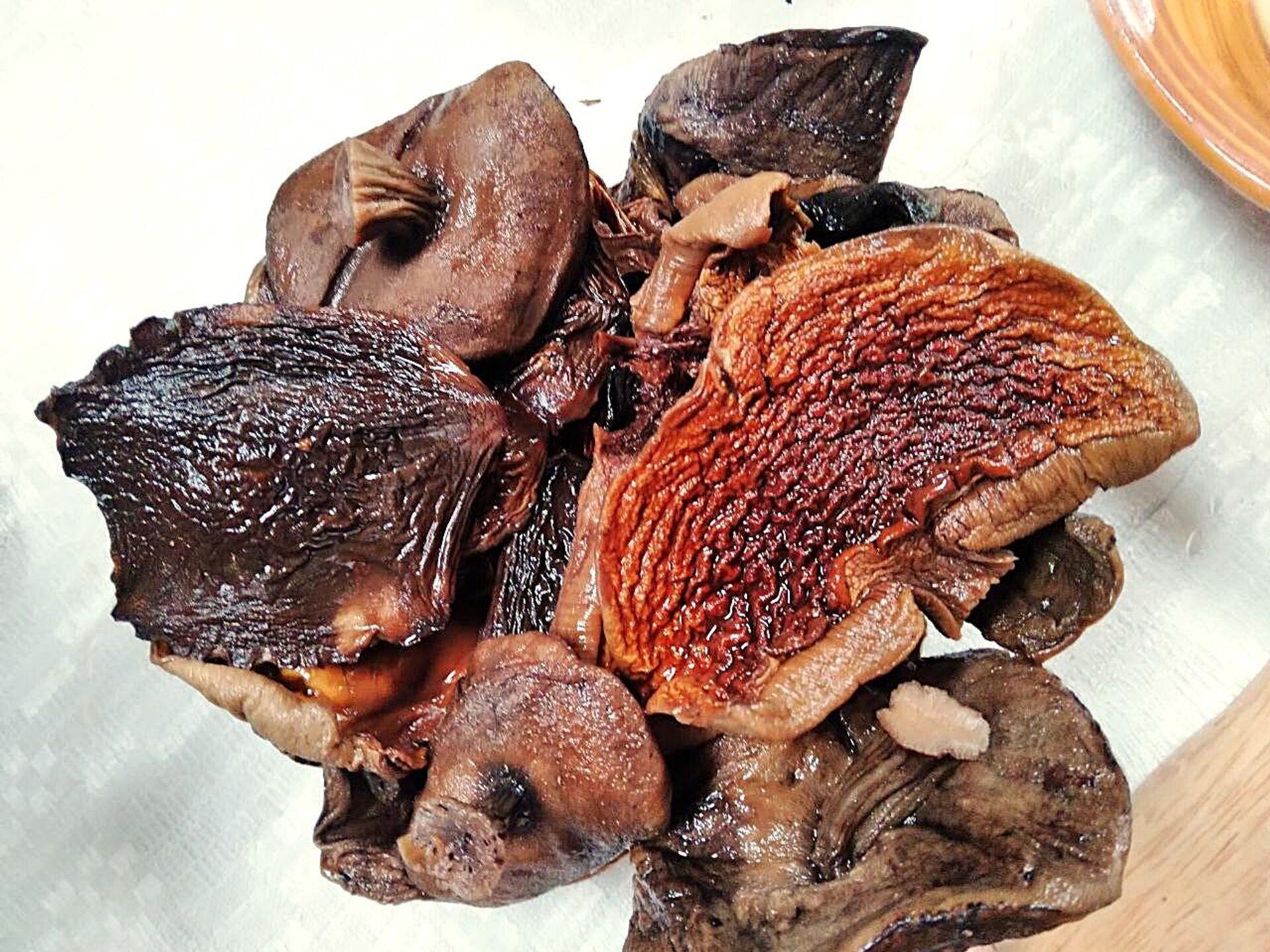 Грыбы замочаныя - Sputnik Беларусь, 1920, 13.01.2026