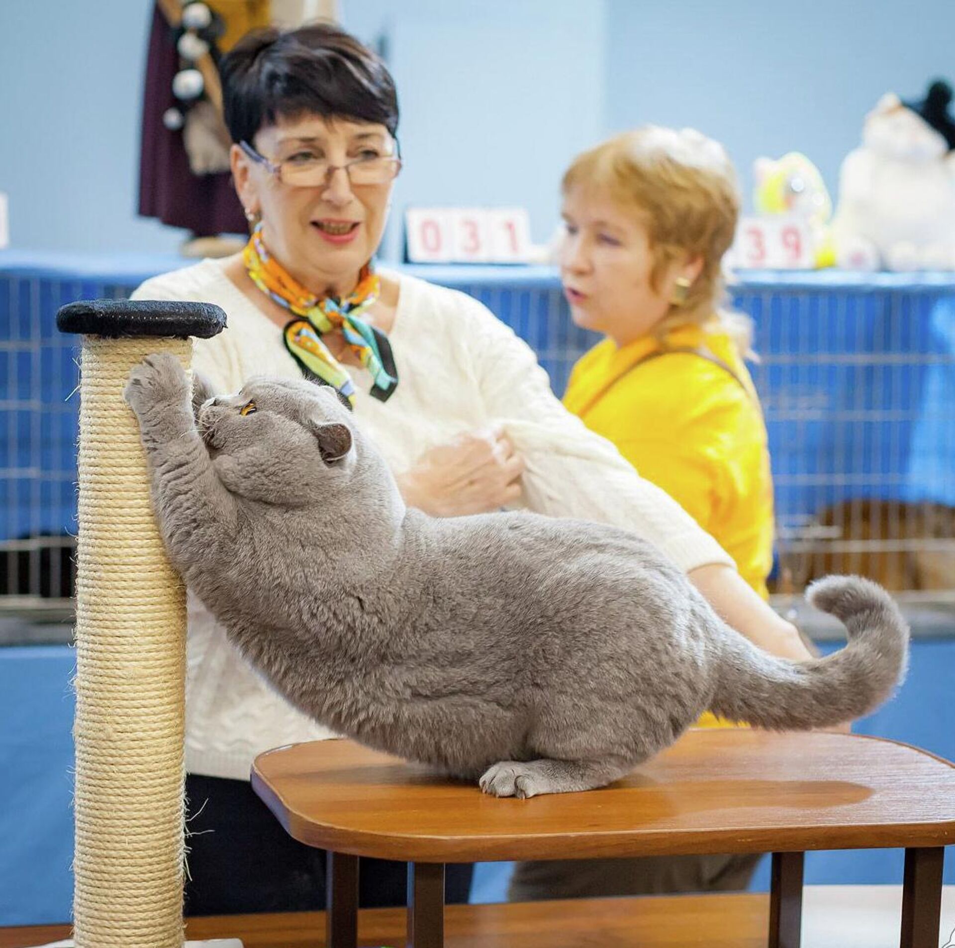 У Моки выраженные породные данные и соответствие стандарту - Sputnik Беларусь, 1920, 14.01.2026