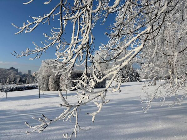 Морозный январь 2026 года в Минске - Sputnik Беларусь