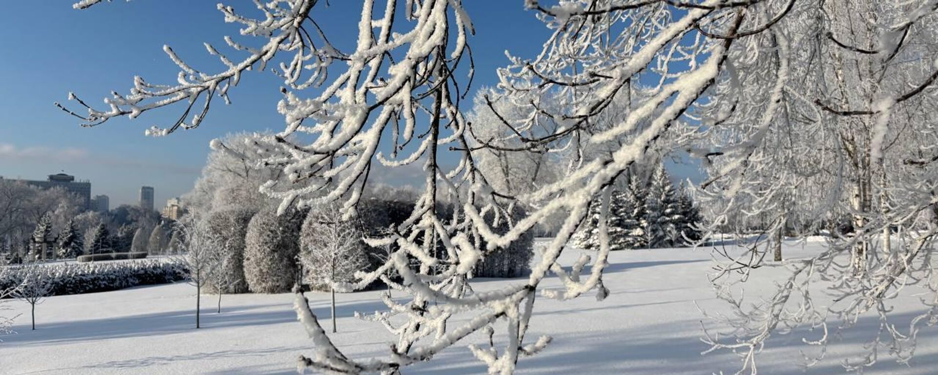 Марозны студзень 2026 года ў Мінску - Sputnik Беларусь, 1920, 15.01.2026