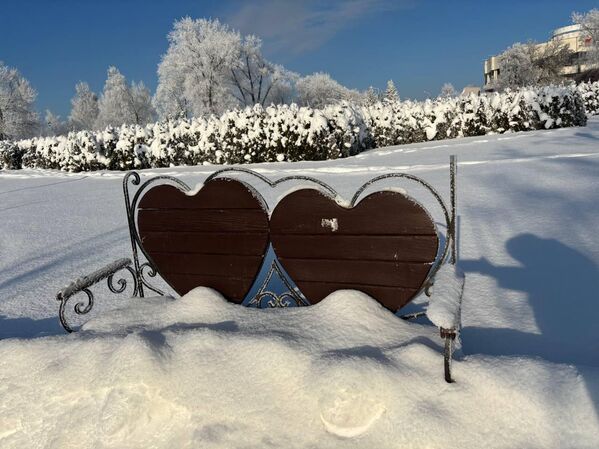 Морозный январь 2026 года в Минске - Sputnik Беларусь