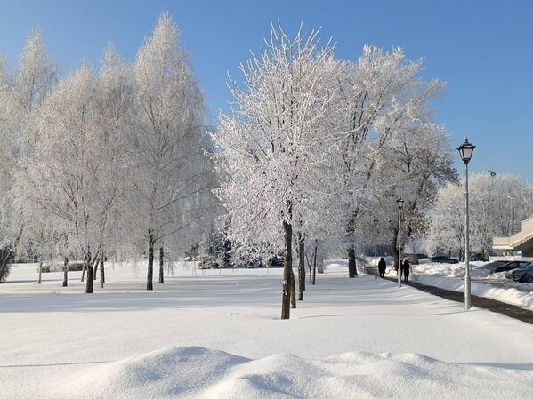 Морозный январь 2026 года в Минске - Sputnik Беларусь