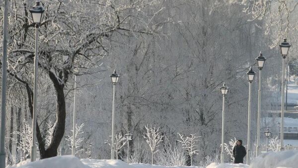 Морозный январь 2026 года в Минске - Sputnik Беларусь