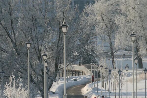 Морозный январь 2026 года в Минске - Sputnik Беларусь