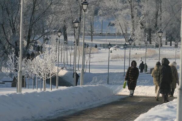 Морозный январь 2026 года в Минске - Sputnik Беларусь