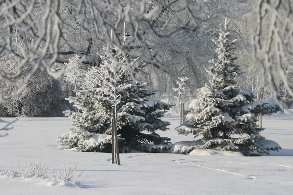 Морозный январь 2026 года в Минске - Sputnik Беларусь