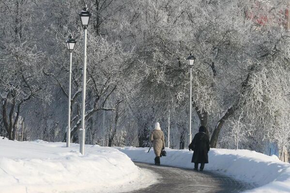 Морозный январь 2026 года в Минске - Sputnik Беларусь